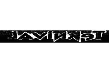 Lavinket